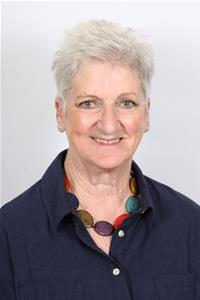 Profile image for County Councillor Maria  Stevens